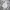 Adidas Streetwear Y2K Windbreaker Pria white photo 3