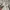 Adidas Streetwear Y2K Windbreaker Pria white photo 4