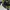 Oakley Vintage Y2K Bag Pria green photo 5