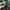 Oakley Vintage Y2K Bag Pria green photo 6