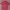 Polham Casual Casual Shirt Pria Red Black
