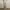 Streetwear Casual Casual pants Pria khaki cream photo 2