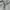 Converse Casual Hoody Pria gray photo 6