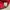 Japanese brand Casual Sweater Pria red photo 4