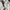 Nike Streetwear Skater Hoody Pria gray photo 7