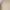 Carhartt Casual Casual shirt Pria tan cream photo 3