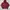 L.L.Bean Gorpcore Casual Hoody Pria burgundy photo 1