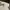 Converse Streetwear Y2K Formal shirt Pria cream photo 4