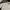 Converse Streetwear Y2K Formal shirt Pria cream photo 7