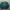 Champion Vintage Streetwear Windbreaker Pria green photo 1