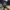 New Era Vintage Lolita Hat Pria navy photo 3