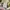 Kapital Kountry Streetwear Futurist T-shirt Pria multicolor photo 3