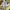 Kapital Kountry Streetwear Futurist T-shirt Pria multicolor photo 4