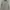 The North Face Gorpcore T-shirt Pria white photo 1