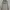 The North Face Gorpcore T-shirt Pria white photo 2