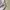 Pearly Gates Minimalist Polo shirt Pria white gray photo 5