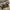 Club Jurdain Vintage Y2K Sweater Pria green photo 6