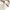 Casual T-shirt Pria multicolor tan photo 5