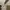 Carhartt Casual Casual pants Pria cream photo 5