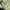 The North Face Gorpcore Sportswear Track jacket Pria blue yellow photo 5