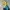 The North Face Gorpcore Sportswear Track jacket Pria blue yellow photo 2