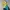 The North Face Gorpcore Sportswear Track Jacket Pria Blue Yellow