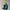 The North Face Gorpcore Sportswear Track jacket Pria blue yellow photo 1