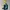 The North Face Gorpcore Sportswear Track Jacket Pria Blue Yellow