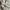 Uniqlo Sportswear Minimalist Track jacket Pria white photo 5