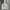 Uniqlo Sportswear Minimalist Track jacket Pria white photo 4