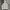 Uniqlo Sportswear Minimalist Track jacket Pria white photo 7