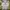 Quiksilver Streetwear Hoody Pria gray photo 1
