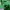 ZARA Minimalist Casual Shirt Wanita green photo 2