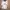 Nike Vintage Sportswear Jersey Pria white photo 1