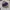 Sportswear Swimwear Wanita navy blue photo 3