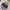 Sportswear Swimwear Wanita navy blue photo 1