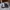 VANS Skater Sneakers Pria gray photo 1
