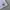 Asics Sportswear Casual Short Pria white photo 3