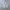 Asics Sportswear Casual Short Pria white photo 6