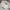 Casual Sweatshirt Wanita white photo 3