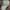 Vintage Streetwear Hat Pria gray photo 1