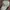 Vintage Streetwear Hat Pria Gray