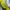 Vintage Casual Pria yellow photo 2