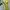 Vintage Casual Pria yellow photo 6