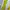 Vintage Casual Pria yellow photo 4
