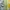 Vintage Casual Pria yellow photo 1