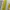 Vintage Casual Pria yellow photo 5