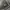 Affection Los Angeles Y2K Grunge T-shirt Pria gray photo 6