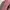 Muslim Other Wanita pink photo 2