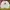 New Balance Sportswear Casual T-shirt Pria white photo 1